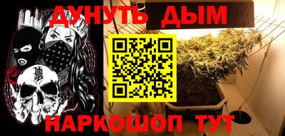 герыч Кингисепп