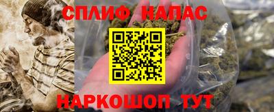 герыч Кингисепп